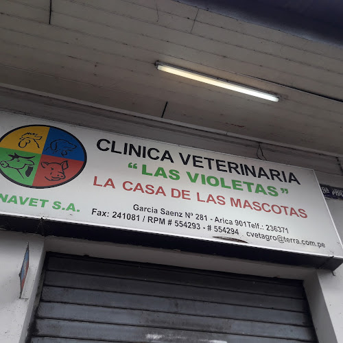 CLINICA VETERINARIA "LAS VIOLETAS"