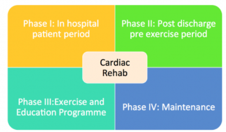 The Four Cardiac Rehab Phases