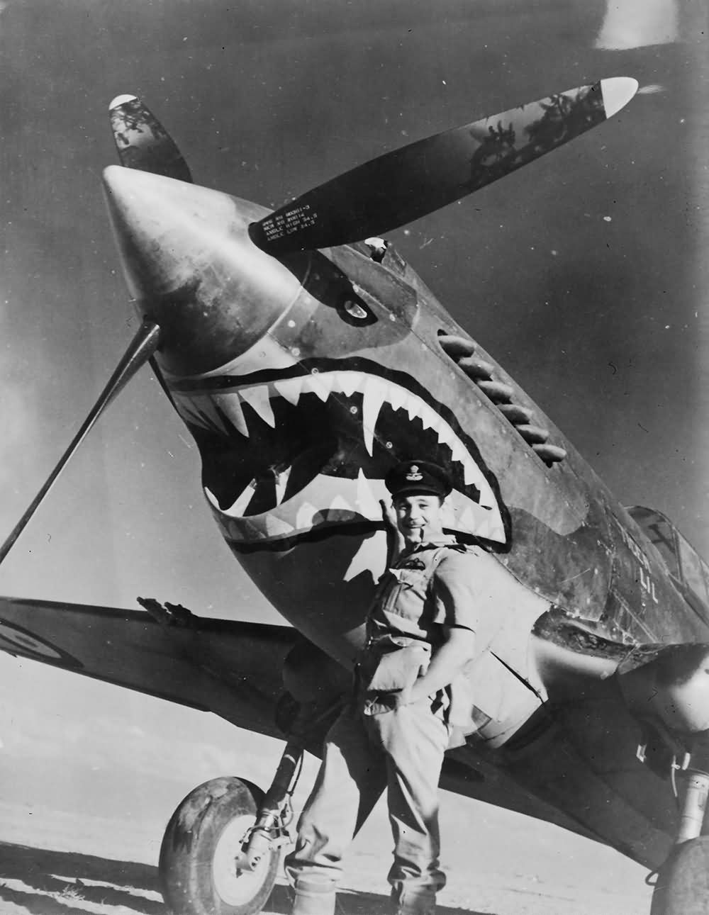 The Origins of Shark Mouth Nose Art - AirCorps Art
