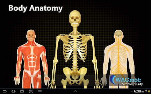 Revision Human Body Anatomy by WAGmob apk Free
