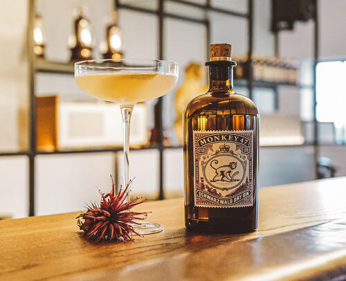 Rượu Gin Ngon - Hương vị tinh tế của thế giới