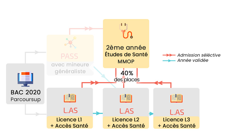 Cử nhân theo định hướng “Accès Santé” - L.AS. 