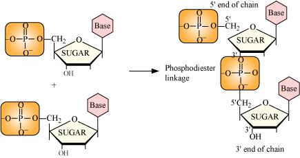 http://www.meritnation.com/img/lp/1/12/5/273/961/2072/2032/16-6-09_LP_Utpal_Chem_1.12.5.14.1.4_SJT_LVN_html_1dd3dd8d.png