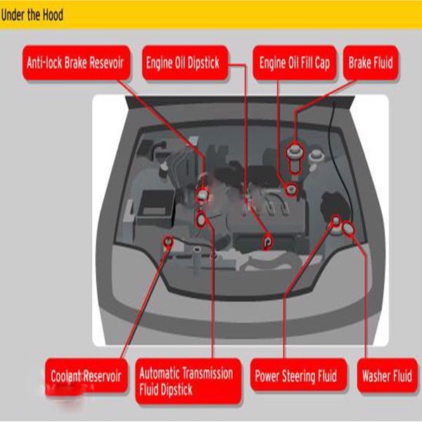 Xem xét và thay thế bộ lọc khí