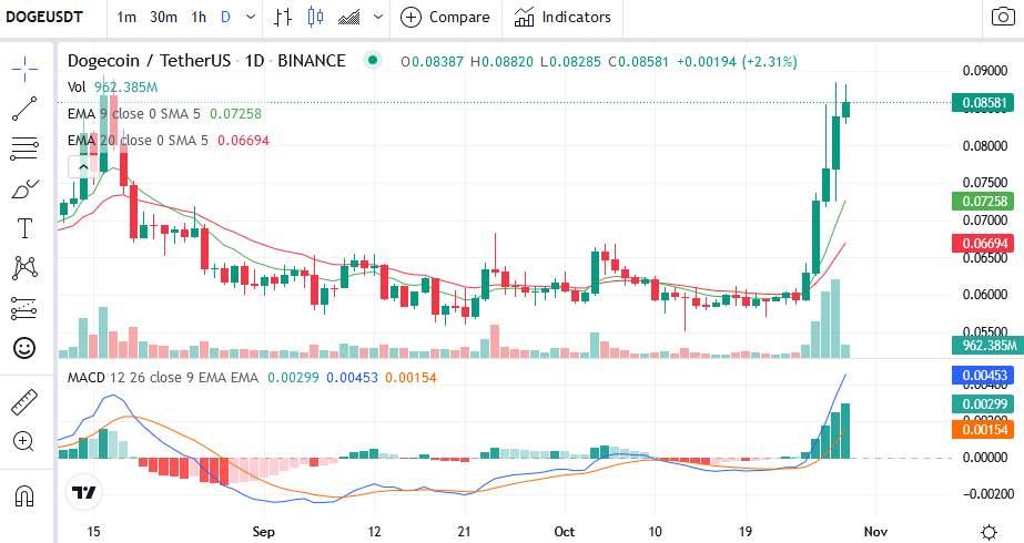 DOGE/USDT daily chart (Source: CoinMarketCap)