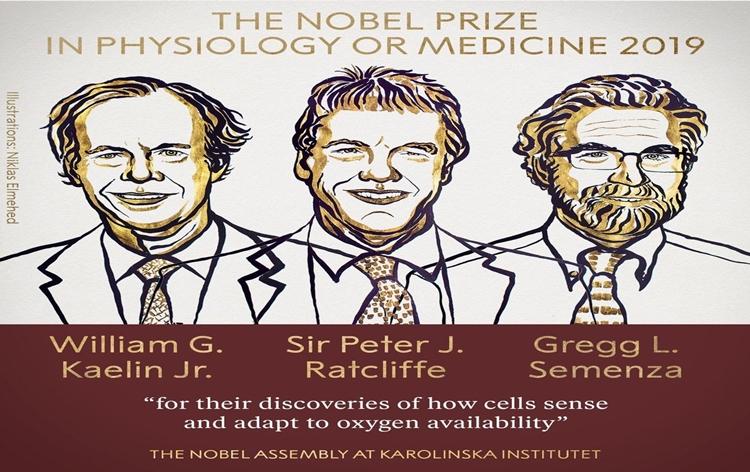 Image result for nobel prize in medicine