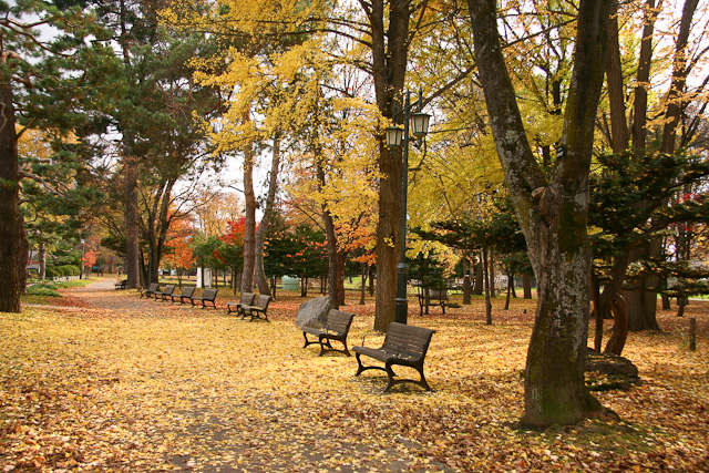 3、紅葉も見れる！自然豊かな憩いの場 「常盤公園」