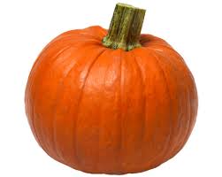 Image result for pumpkin