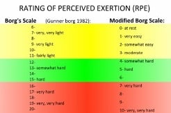 rating of percieved exertion chart