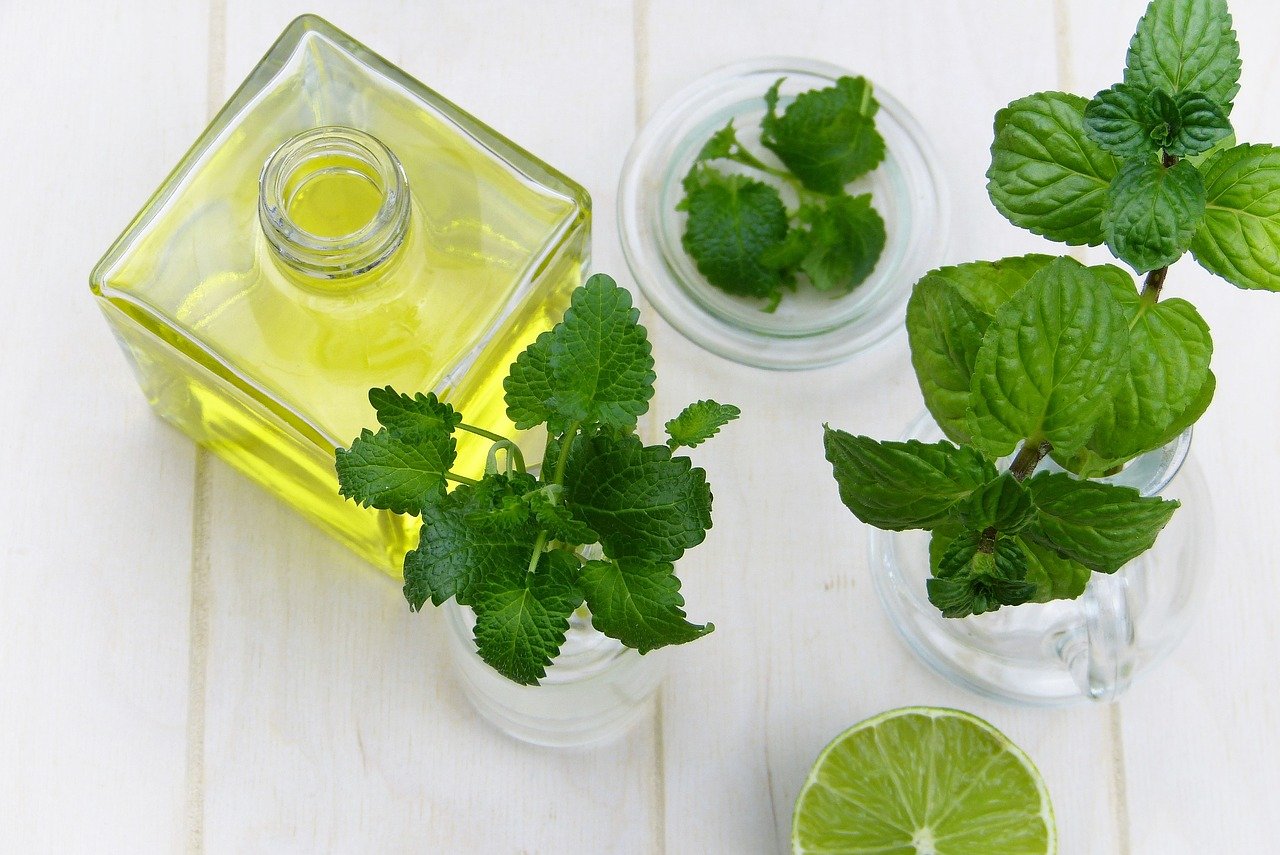 produit-antimoustique-moustiques-naturel-traitement-antimoustique-piqure-soigner