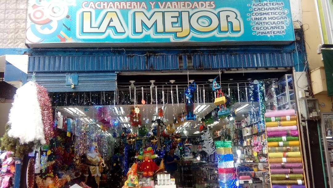 Comercializadora LA MEJOR