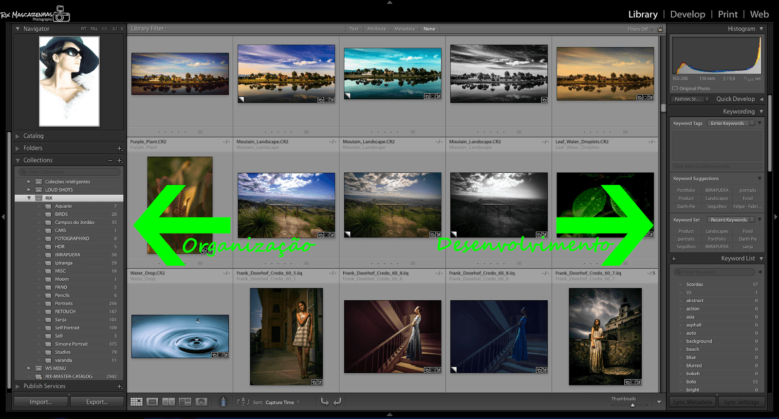 biblioteca lightroom