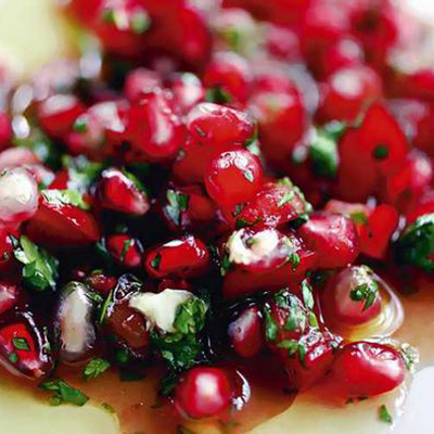 cranberry pomegranate salsa