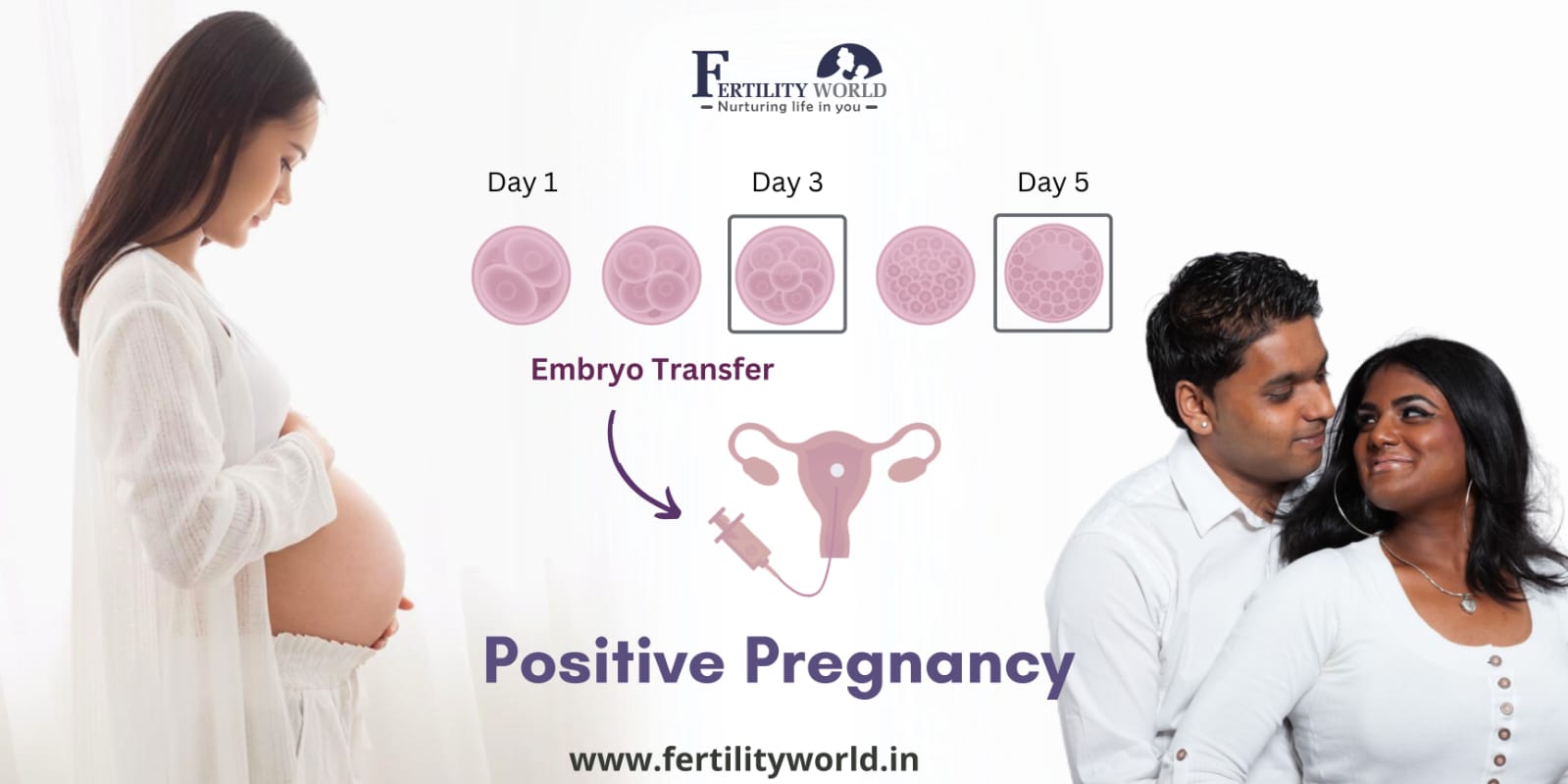 Surrogacy success rate