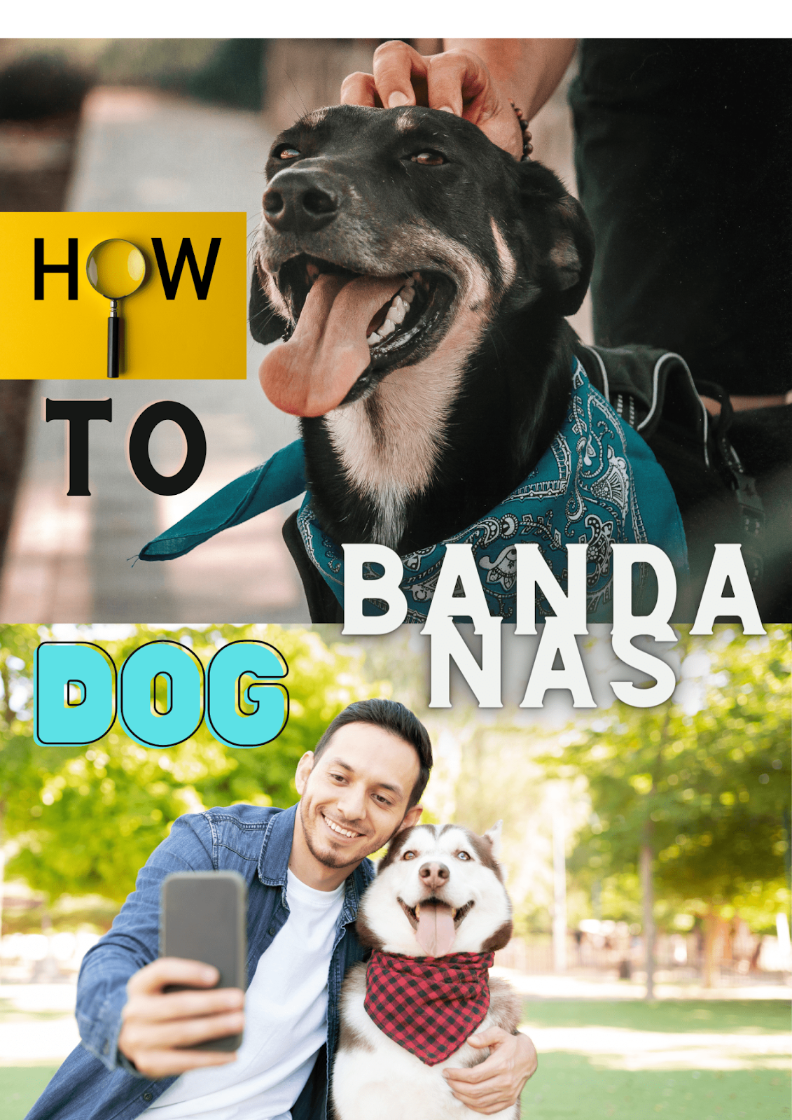 how to make dog bandanas