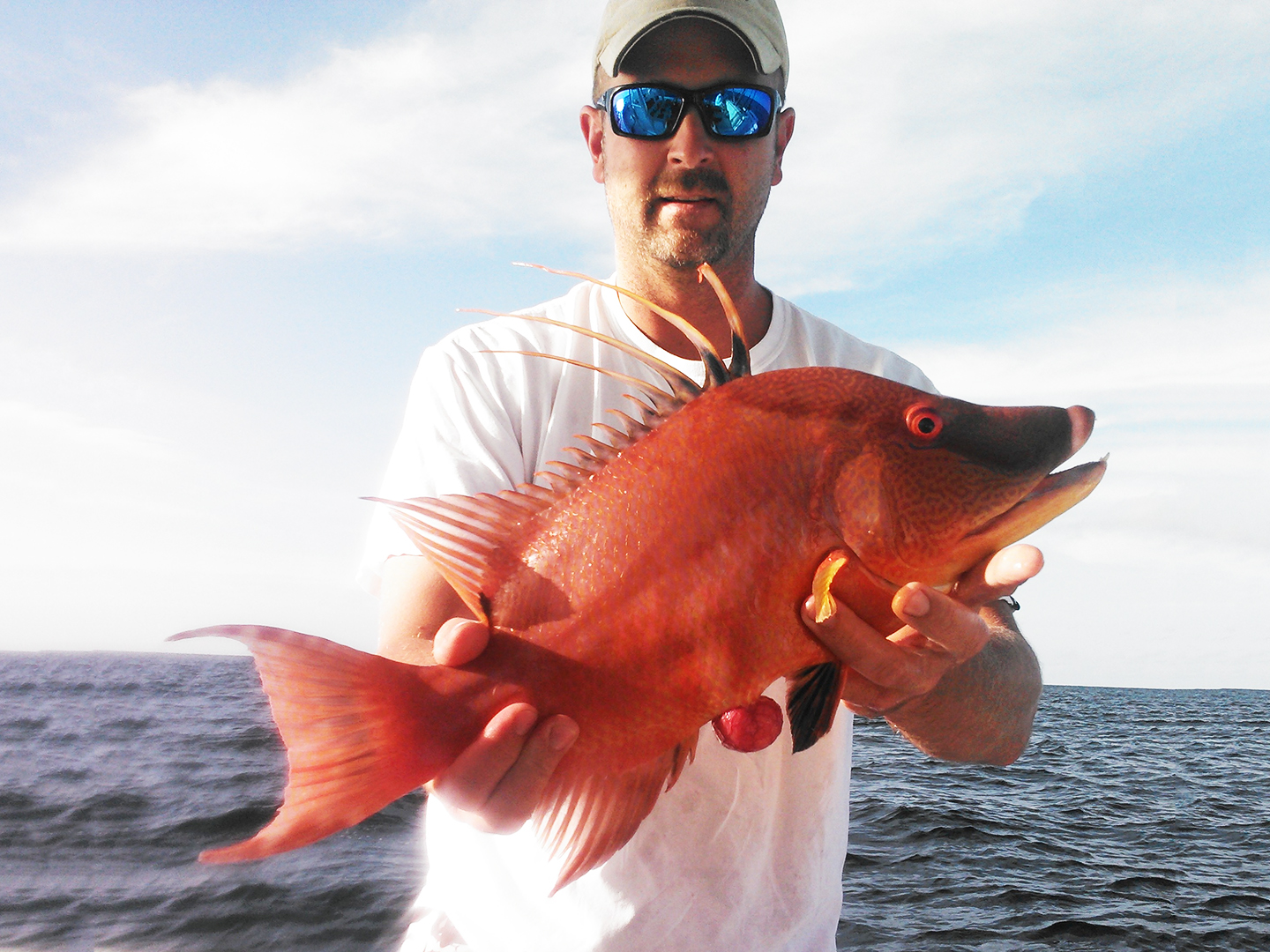 A man in a cap and sunglasses holding a brightly-colored Hogfish in the Florida Keys with the water behind him