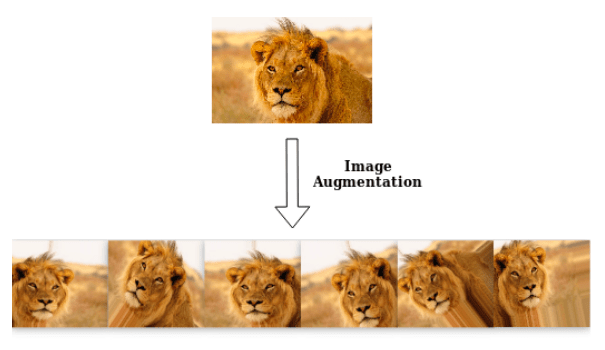 image augmentation