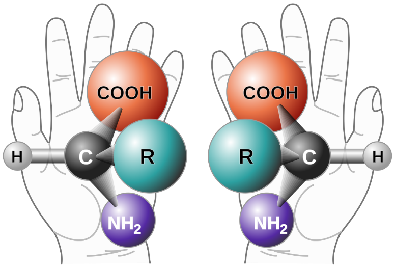 https://upload.wikimedia.org/wikipedia/commons/thumb/e/e8/Chirality_with_hands.svg/1280px-Chirality_with_hands.svg.png