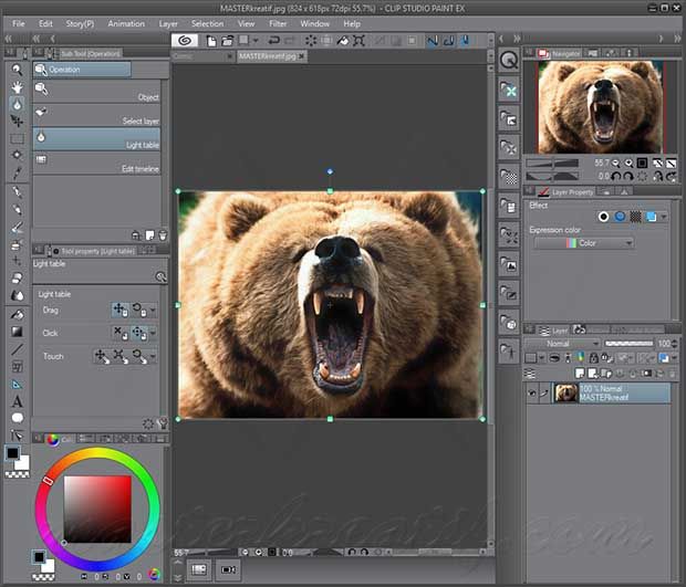 Clip Studio Paint EX