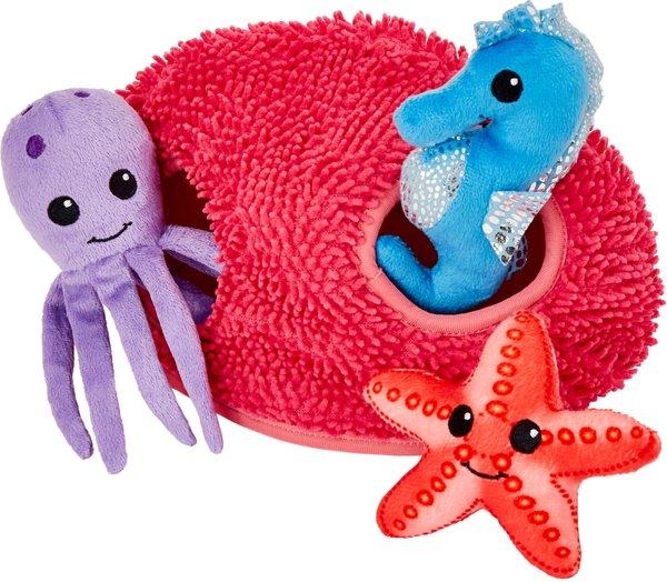 FRISCO Hide & Seek Plush Coral Puzzle Dog Toy - Chewy.com