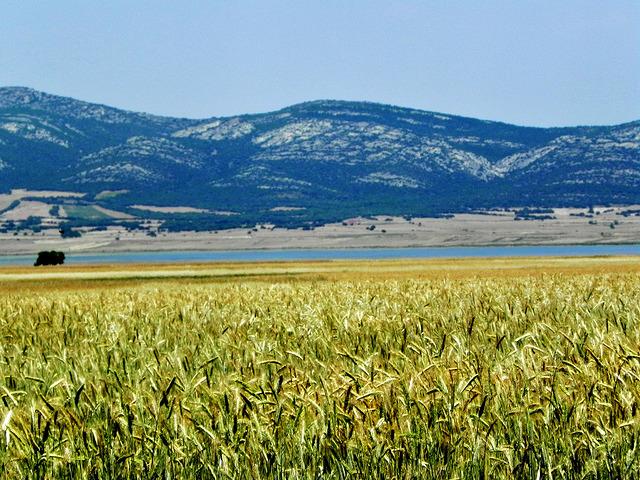 https://farm8.staticflickr.com/7390/9271840740_afe989d328_z.jpg