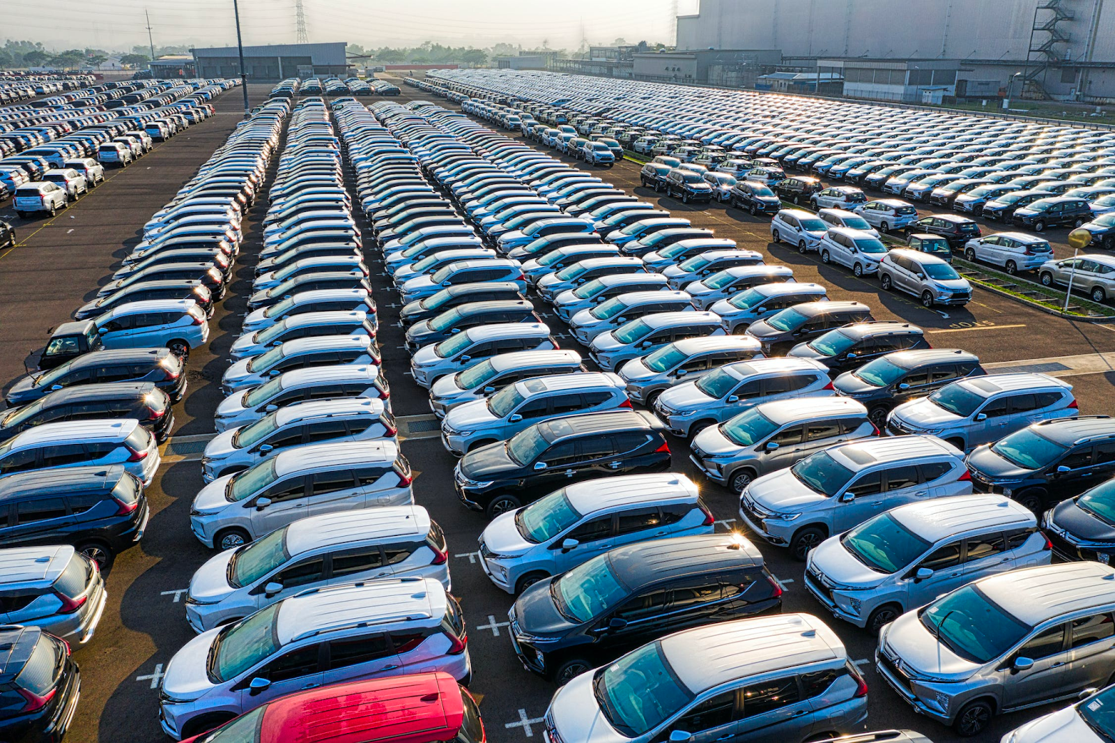  rows-of-expensive-modern-cars-on-asphalt-parking-of-manufacture