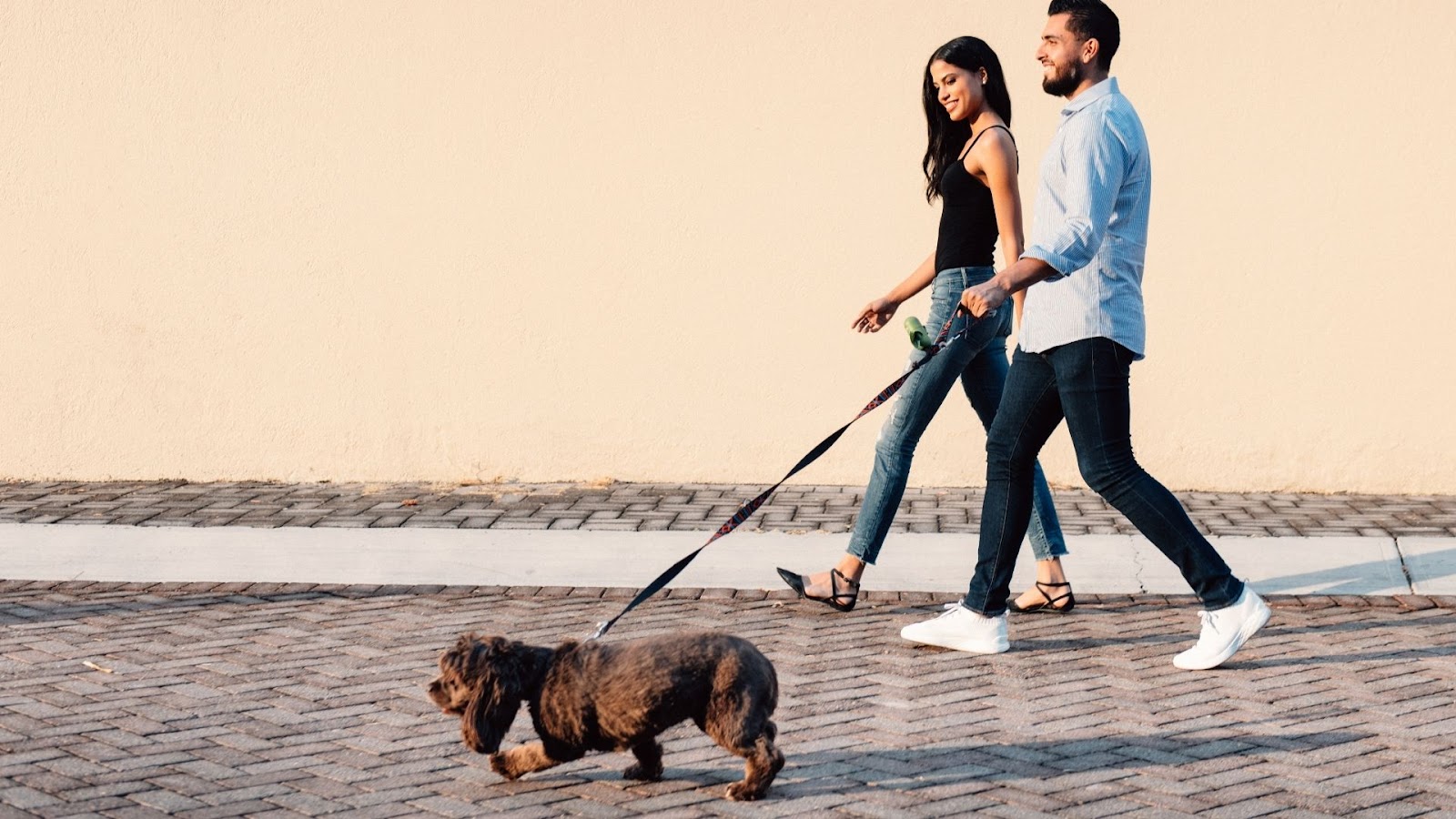 Man and woman walking a brown Spaniel in El Paso
