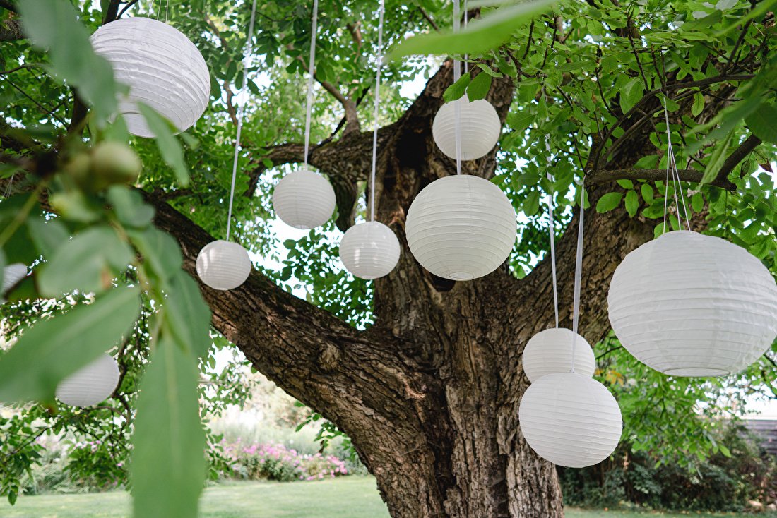 Goedkope decoraties voor je bruiloft | wittelampionnen.nl
