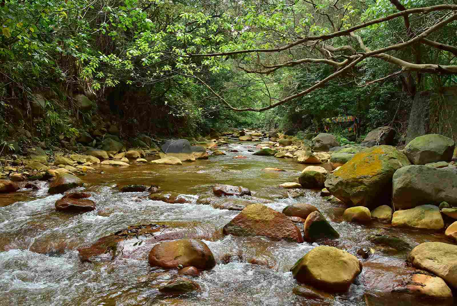 磺溪-上游-磺溪生活流域-溪流-台北市-河川-SDGs