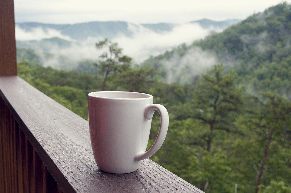 Smoky Mountains, Coffee, Nature, Vacation, Relax