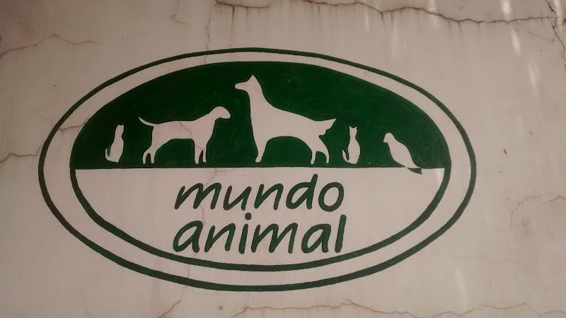 Clinica Veterinaria Mundo Animal
