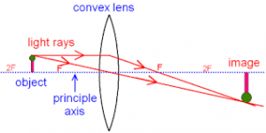 Lens image - 1