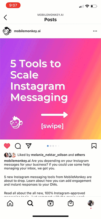 organic instagram growth