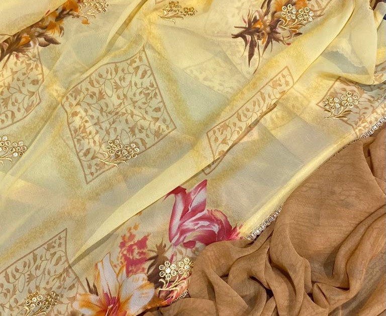 CHIFFON EMBROIDERY WORK Patterned Sarees