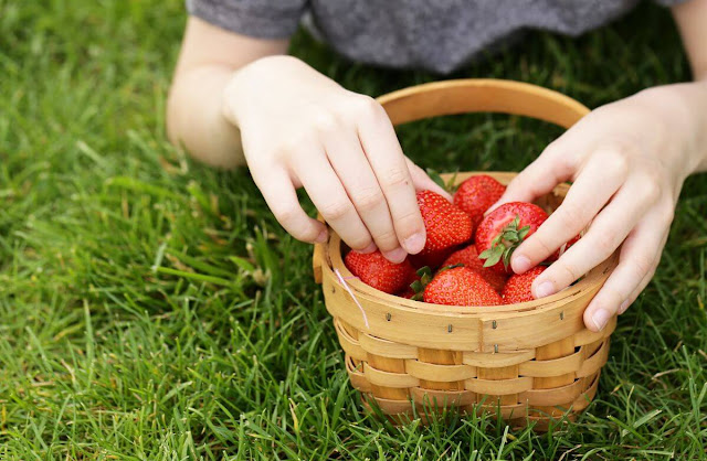 strawberries for children