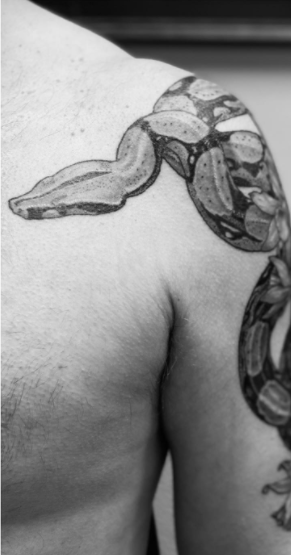 Wild Snake Tattoo Design For Men