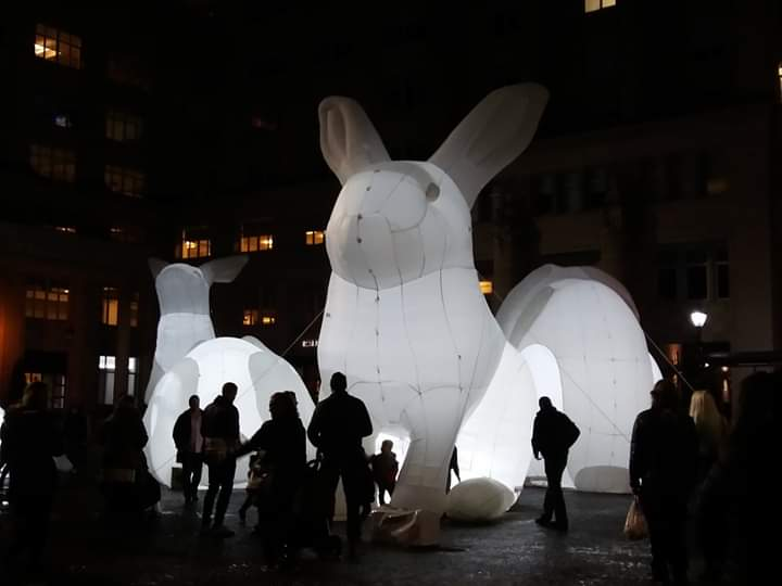 Bunny Alert! Giant Glowing Rabbits ‘Intrude’ Brisbane Quarter 