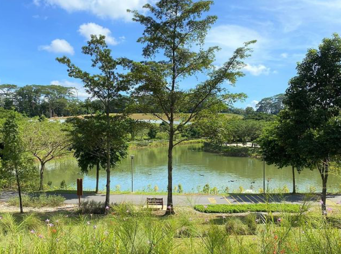 punggol waterway park