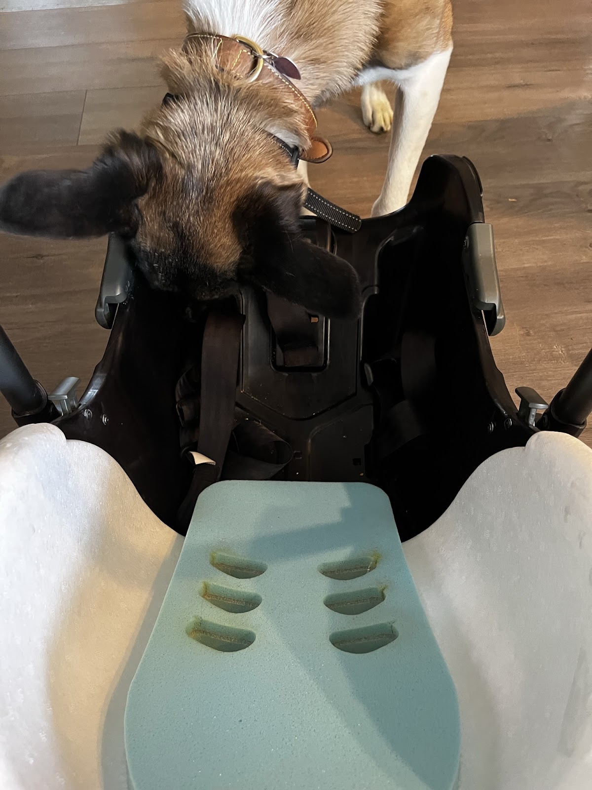 How to Wash the Nuna PIPA Car Seat StepByStep (Photos) The Stroller Mom