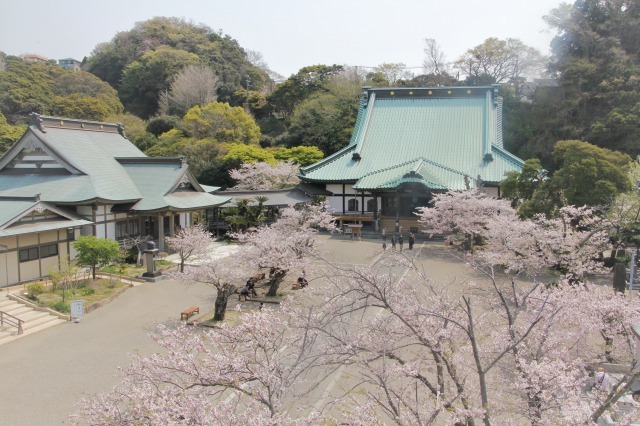 光明寺（神奈川）