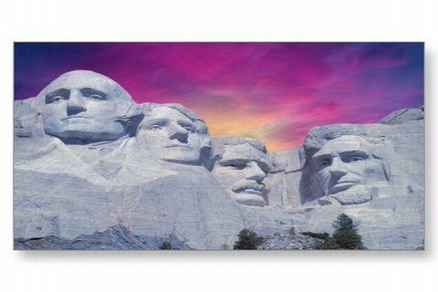 The White House apk