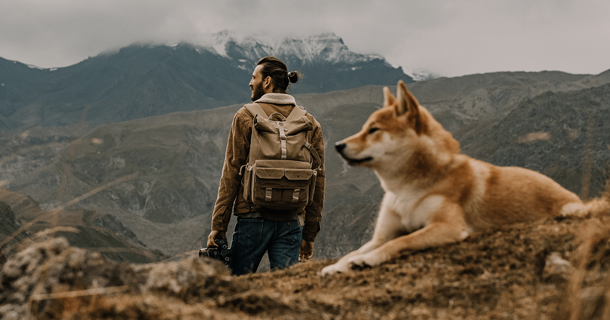 red shiba inu with mountain landscape