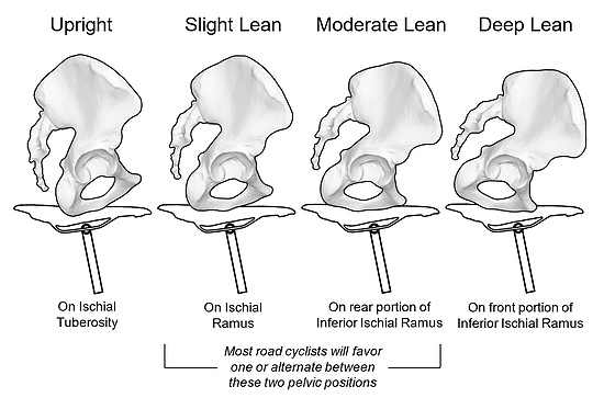 Your riding position affects where pressure is exerted on the saddle.