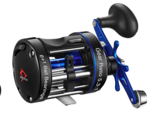 Fishing Reels