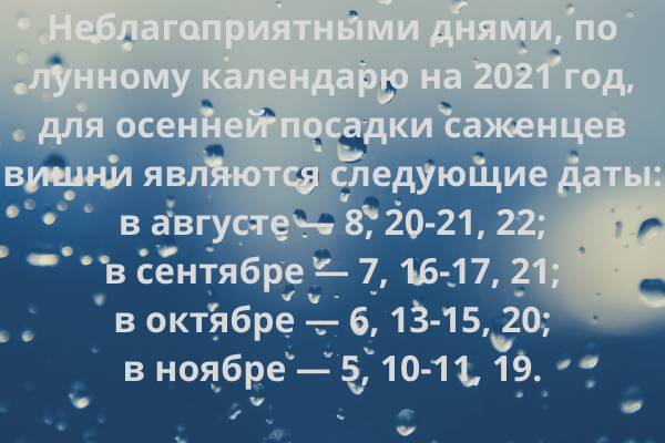 Неблагоприятные дни по лунному календарю на 2021 год для осенней посадки вишни