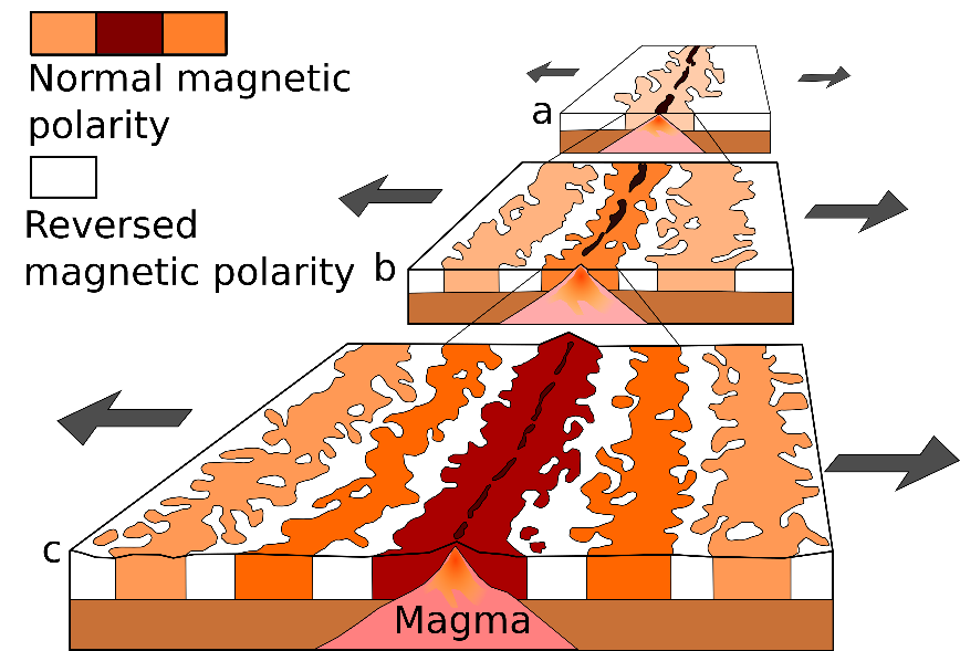 <b>Paléomagnétisme enregistrée sur le plancher océanique<br></b><i>Oceanic.Stripe.Magnetic.Anomalies.Scheme.svg par Chmee2 modifié par Sandra Rivière, via Wikimédia Commons, Domaine public, https://commons.wikimedia.org/wiki/File:Oceanic.Stripe.Magnetic.Anomalies.Scheme.svg?uselang=fr</i>