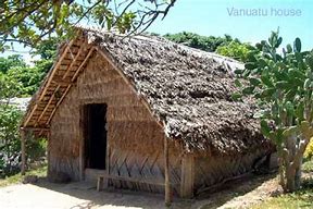 Image result for tonga houses