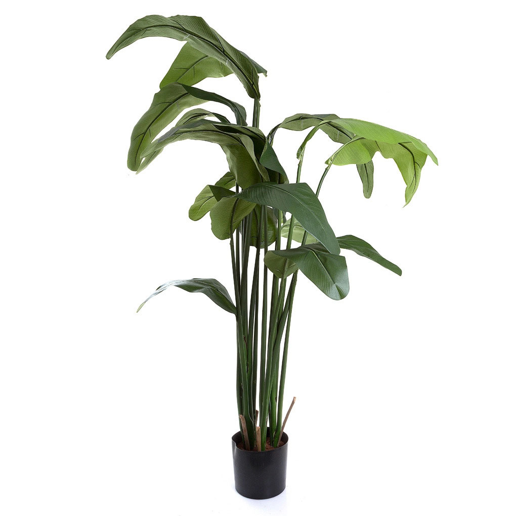 artificial travellers palm