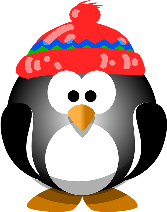 Penguin, Bird, Hat, Winter, ...