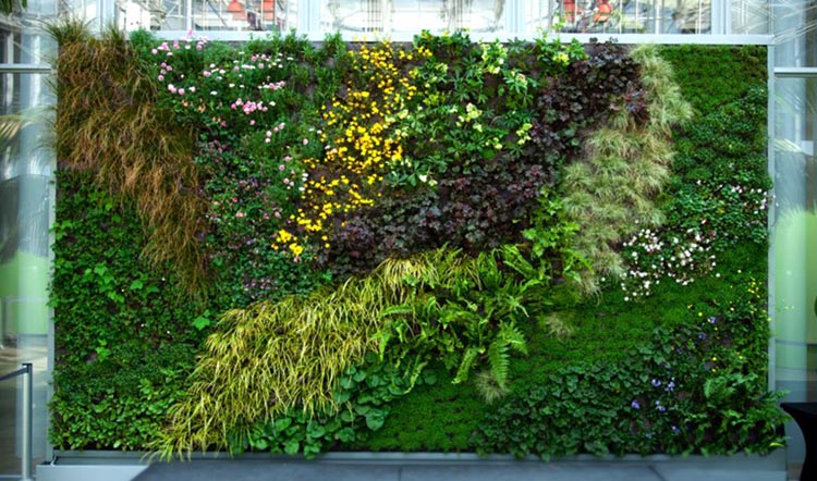3 ý tưởng thiết kế vườn siêu ấn tượng cho khoảng sân hẹp